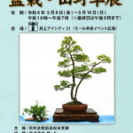 5/8(金)～5/10(日)「第42回盆栽・山野草展」開催！